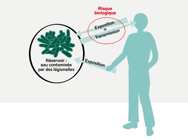 © V. Latchague-Causse pour l'INRS – 2022