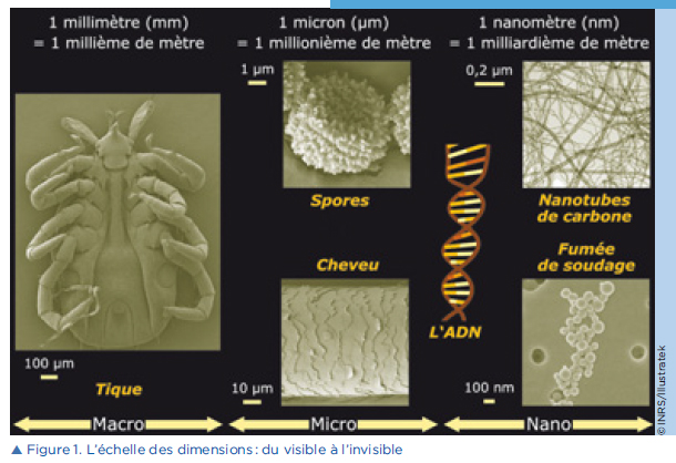 L'échelle des dimensions : du visible à l'invisible