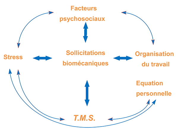 Dynamique d'apparition des TMS